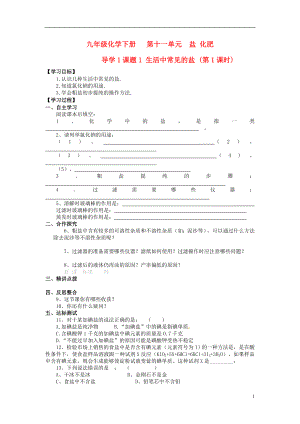 2021年九年级化学下册 第十一单元 导学1 课题1 生活中常见的盐（第1课时）导学案 新人教版.doc