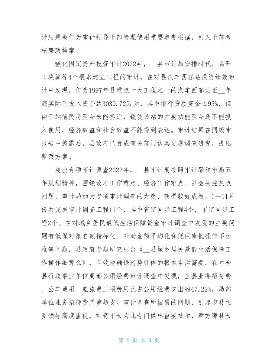 审计局2022年工作总结审计局个人工作总结.doc_第2页