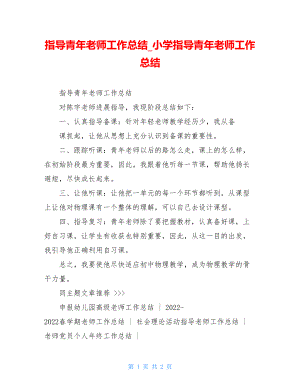 指导青年教师工作总结小学指导青年教师工作总结.doc