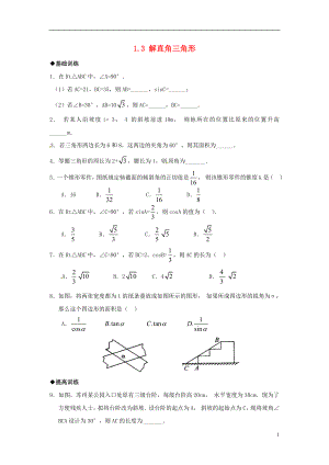 2021年春九年级数学下册 1.3 解直角三角形课时训练2 （新版）浙教版.doc