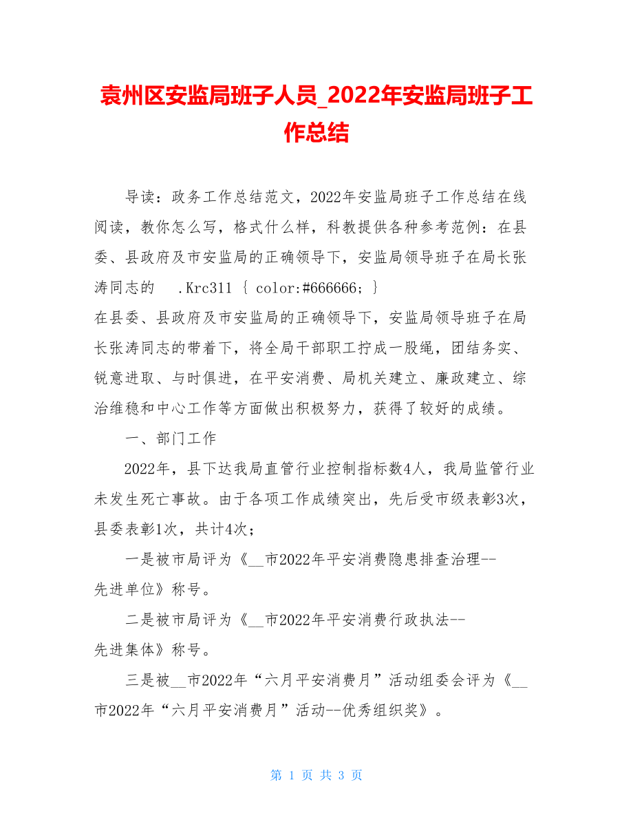 袁州区安监局班子人员2022年安监局班子工作总结.doc_第1页