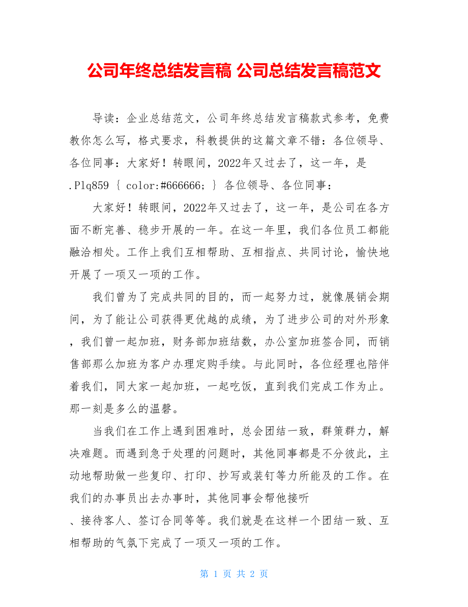 公司年终总结发言稿公司总结发言稿范文.doc_第1页