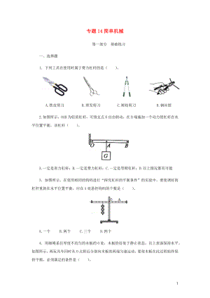 2021_2021学年九年级物理寒假辅导讲义与练习专题14简单机械练习含解析.docx