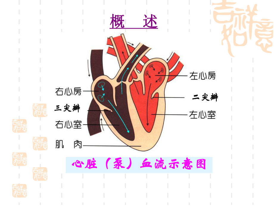 心功能不全的护理查房ppt课件.pptx_第2页