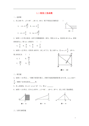 2021九年级数学下册 1.1 锐角三角函数同步练习 （新版）北师大版.doc