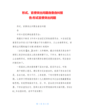 形式主义、官僚主义突出问题自查自纠报告形式主义官僚主义突出问题.doc