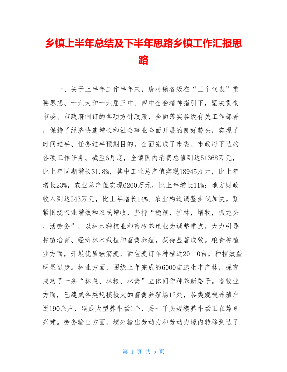 乡镇上半年总结及下半年思路乡镇工作汇报思路.doc_第1页