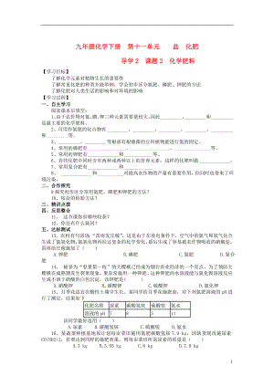 2021年九年级化学下册 第十一单元 导学2 课题2 化学肥料导学案 新人教版.doc