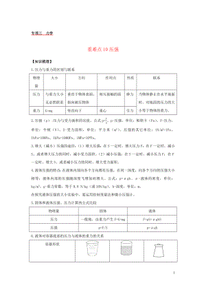 2021年中考物理重难点专练10压强含解析.docx