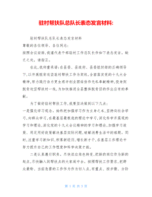 驻村帮扶队总队长表态发言材料.doc