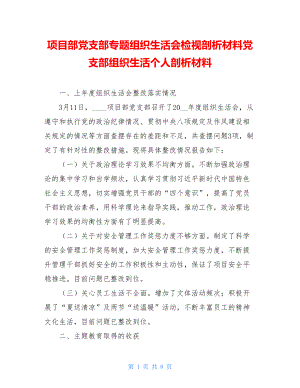 项目部党支部专题组织生活会检视剖析材料党支部组织生活个人剖析材料.doc