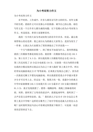 为小考而努力作文.pdf