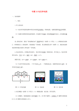 2021_2021学年九年级物理寒假辅导讲义与练习专题16电压和电阻讲义含解析.docx