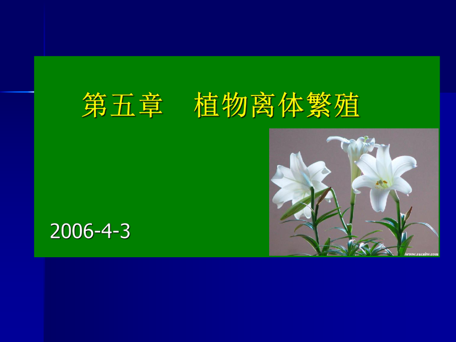 植物离体繁殖ppt课件.ppt_第1页