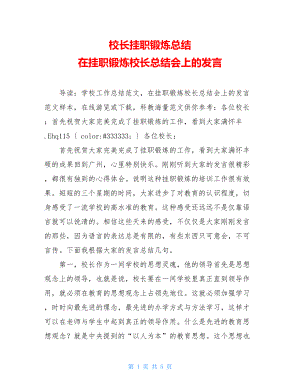 校长挂职锻炼总结在挂职锻炼校长总结会上的发言.doc