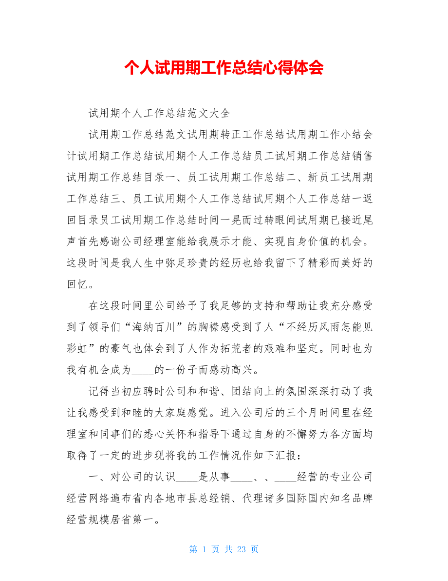 个人试用期工作总结心得体会.doc_第1页