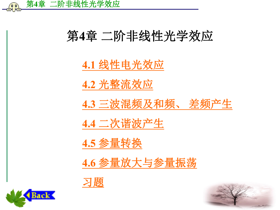 第4章-二阶非线性光学效应ppt课件.ppt_第1页