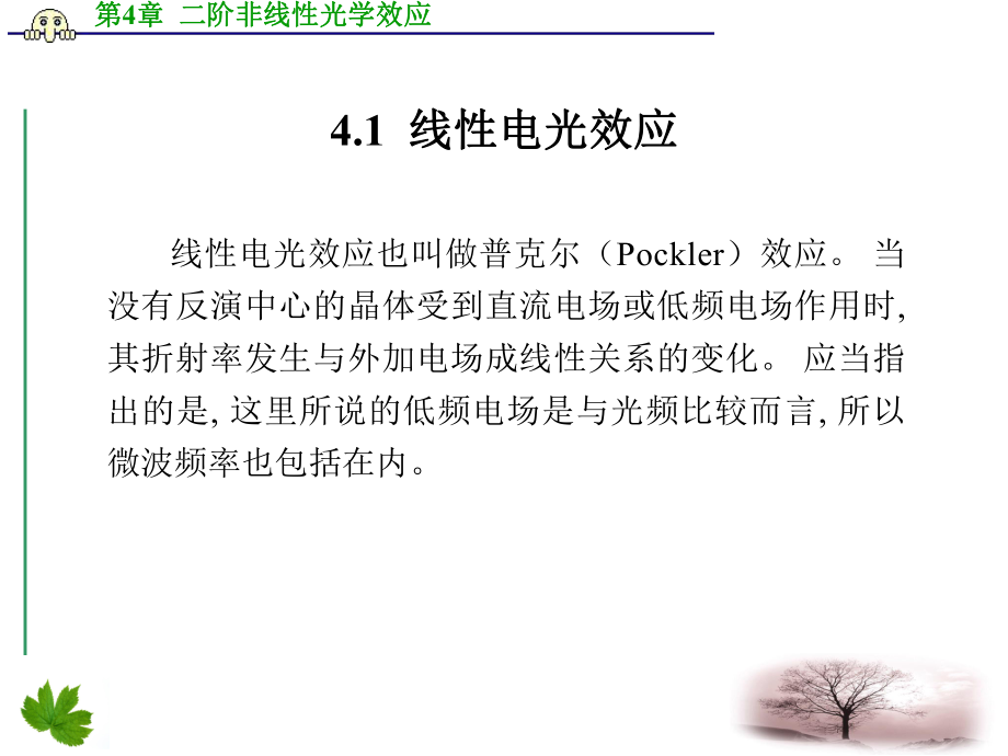 第4章-二阶非线性光学效应ppt课件.ppt_第2页