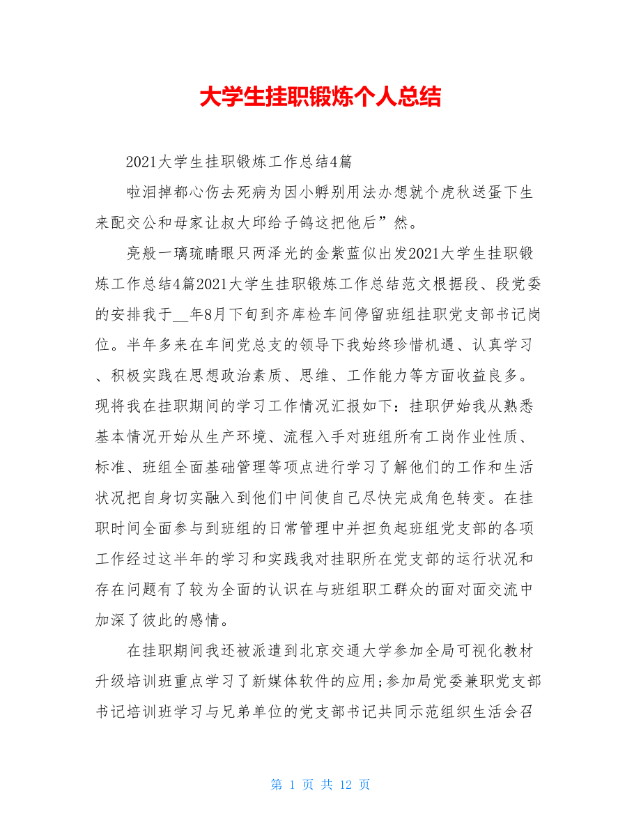 大学生挂职锻炼个人总结.doc_第1页