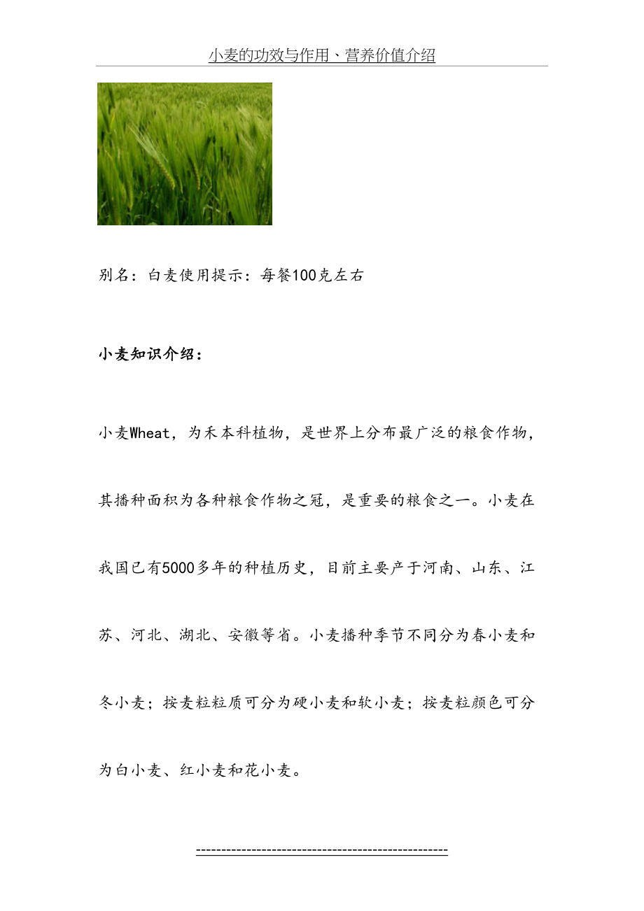 小麦的功效与作用、营养价值介绍.doc_第2页