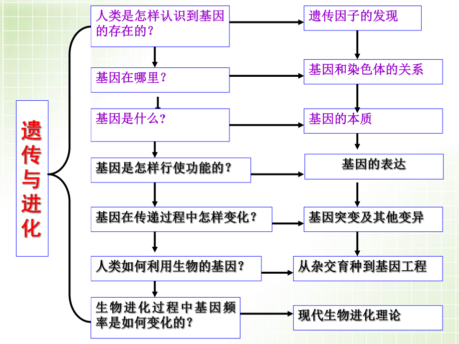 第4章-第1节基因指导蛋白质的合成mintyppt课件.ppt_第1页