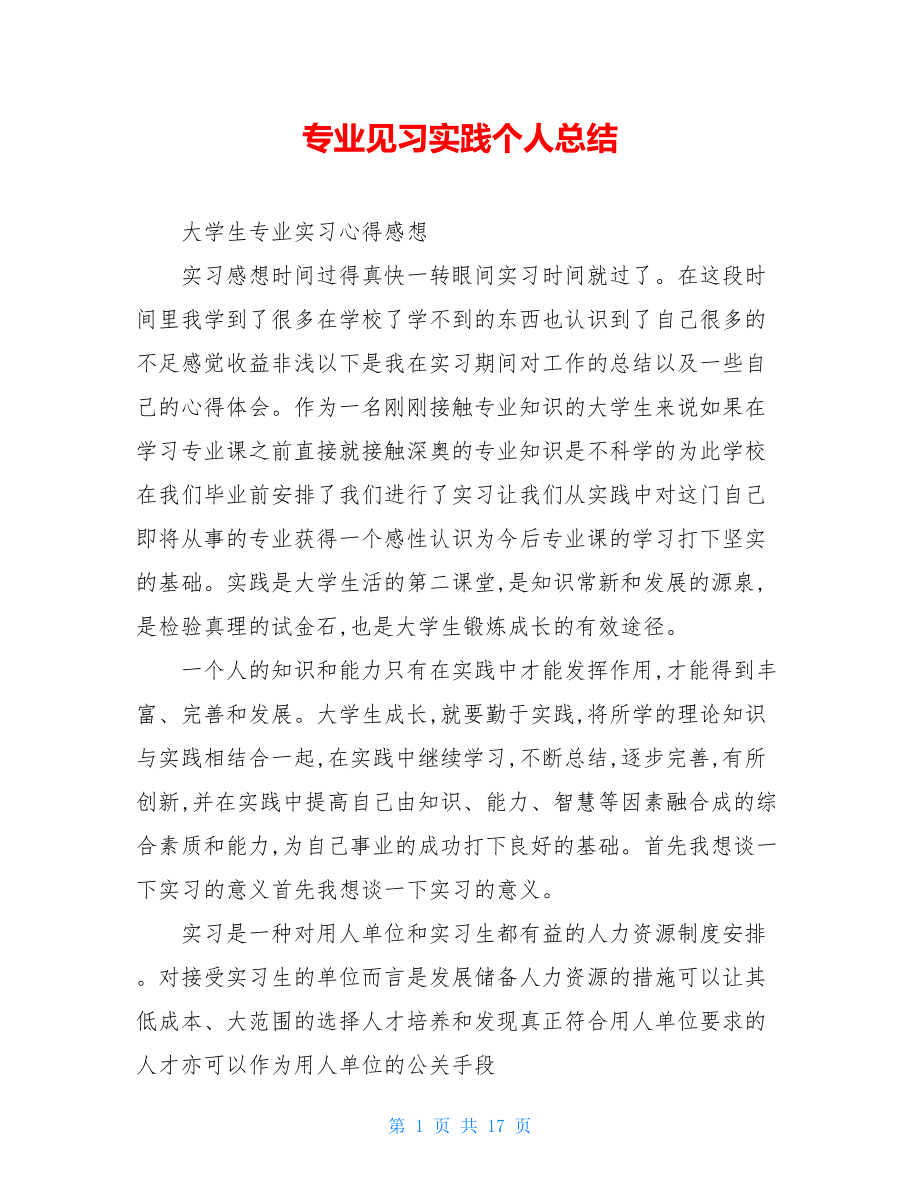 专业见习实践个人总结.doc_第1页