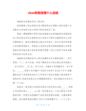 vbse财务经理个人总结.doc