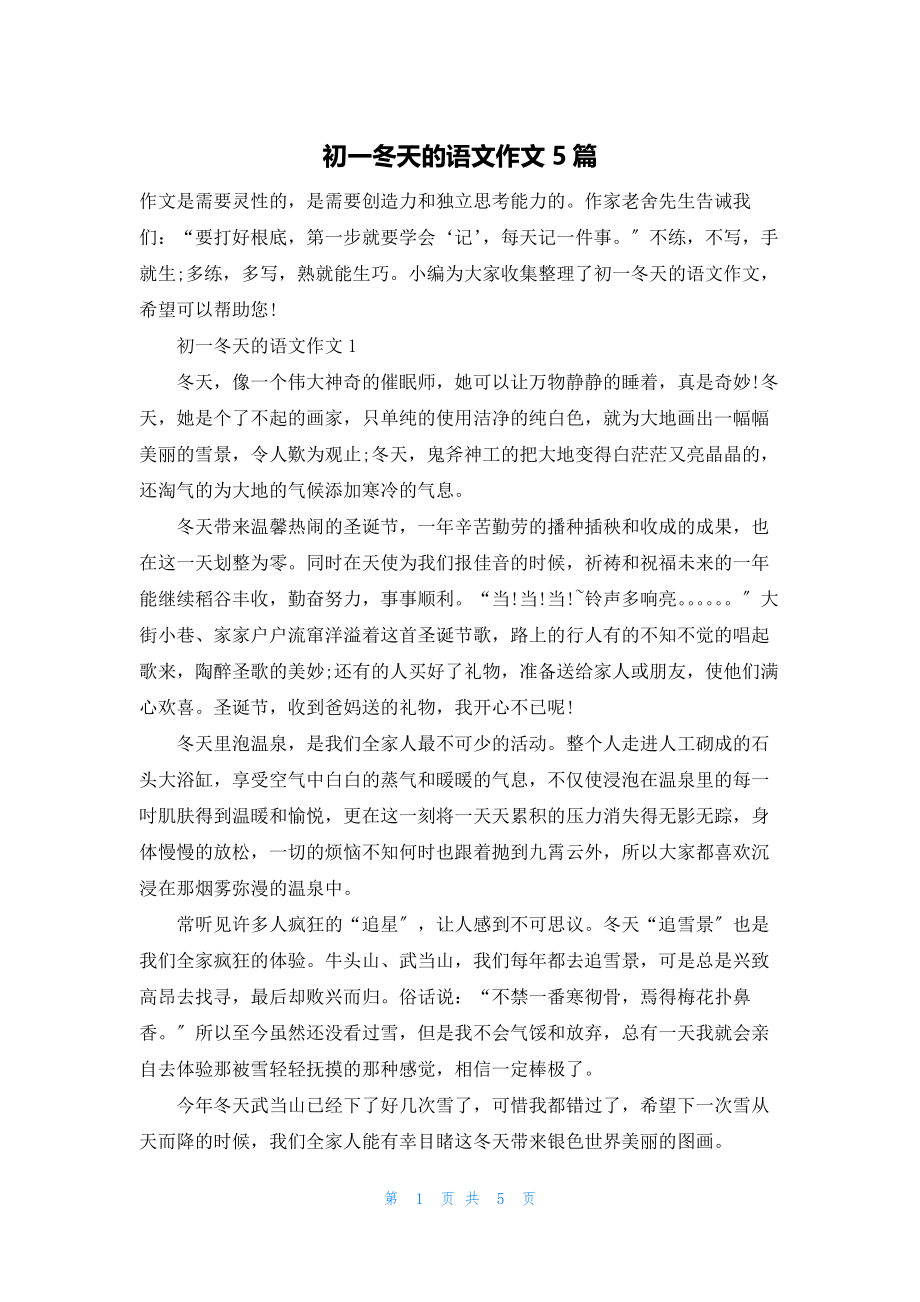 初一冬天的语文作文5篇.docx_第1页