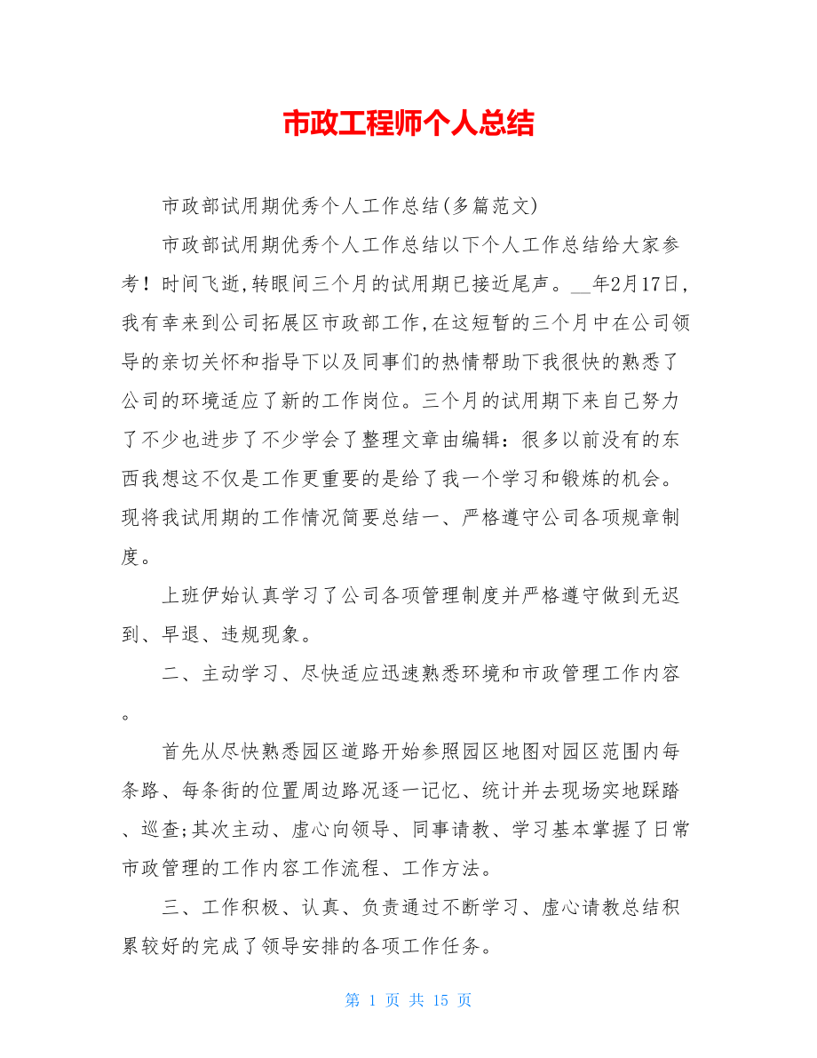 市政工程师个人总结.doc_第1页