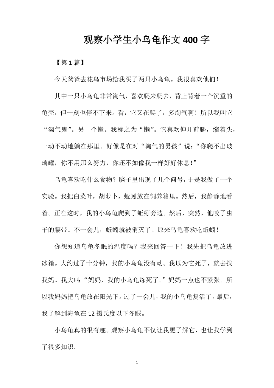 观察小学生小乌龟作文400字.doc_第1页