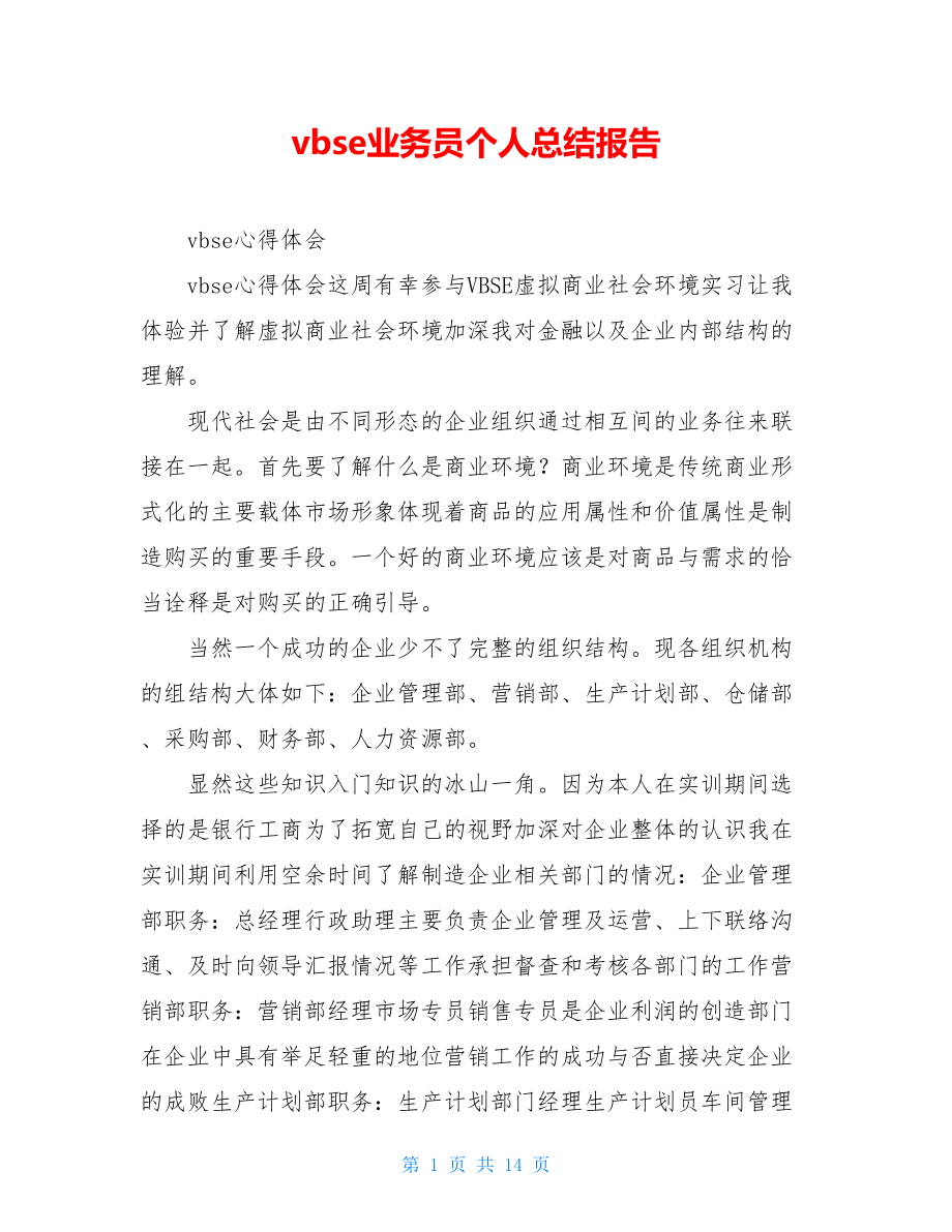 vbse业务员个人总结报告.doc_第1页