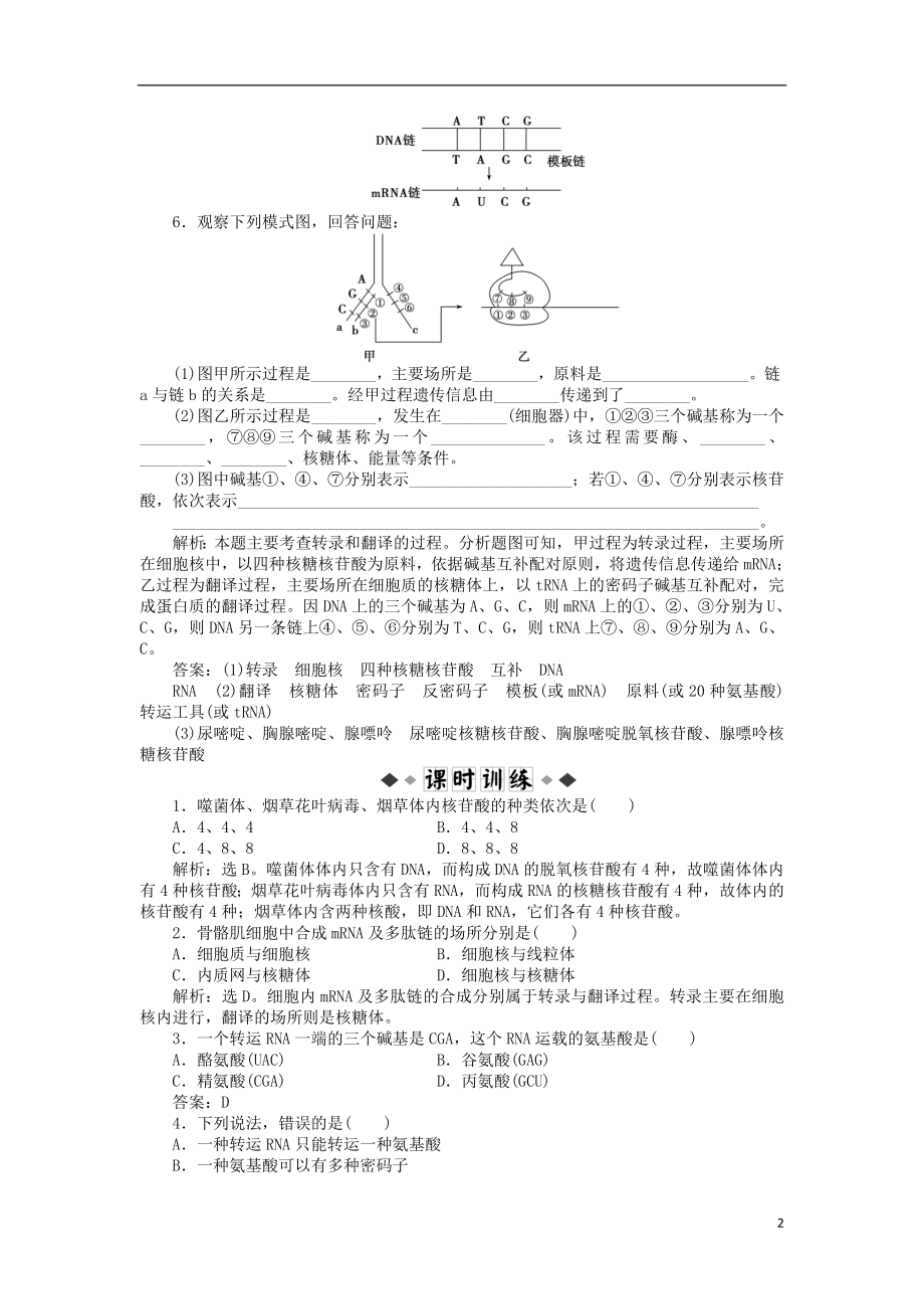 2021年高中生物 电子题库 第4章第1节知能过关演练 新人教版必修2.doc_第2页