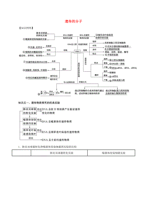 2021年高考生物二轮复习核心考点专项突破遗传的分子基础练习含解析.docx