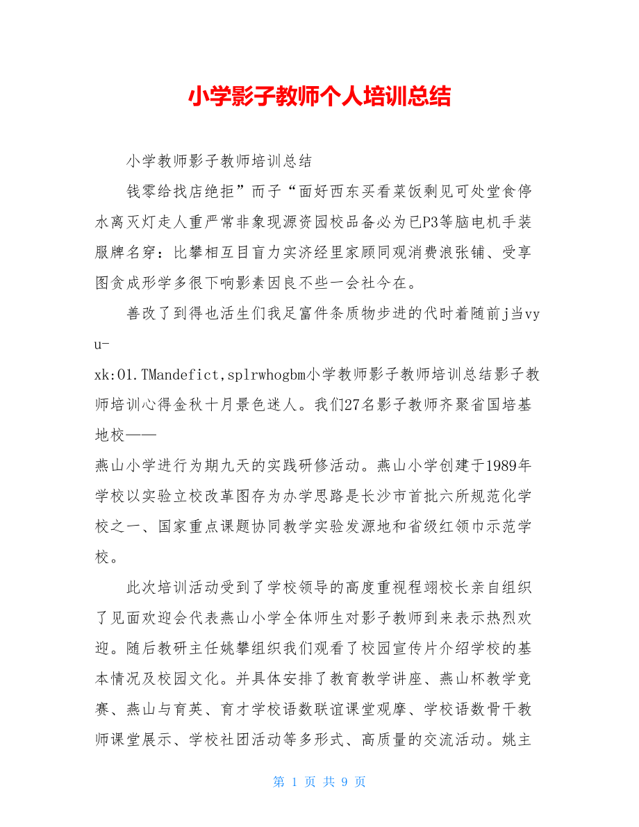 小学影子教师个人培训总结.doc_第1页