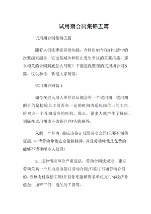 试用期合同集锦五篇.docx