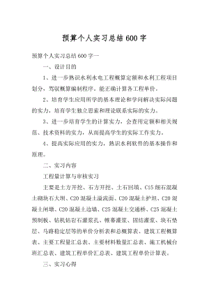 预算个人实习总结600字范文.docx