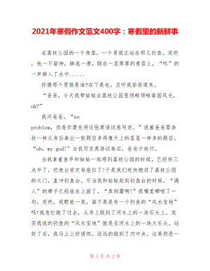 2021年寒假作文范文400字：寒假里的新鲜事.doc