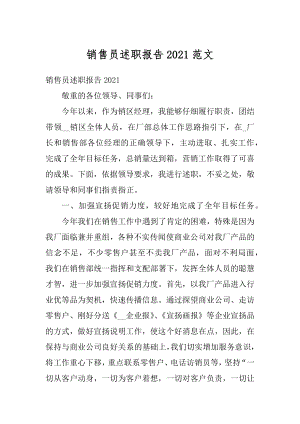 销售员述职报告2021范文汇总.docx