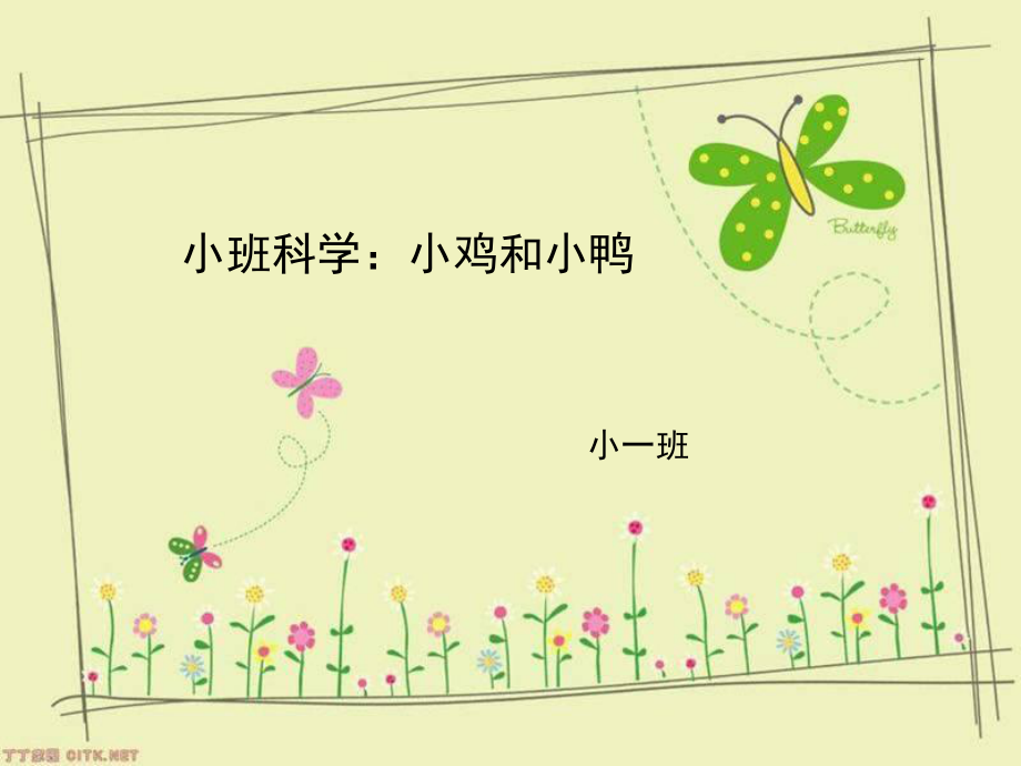 小班科学活动：小鸡和小鸭.ppt_第1页