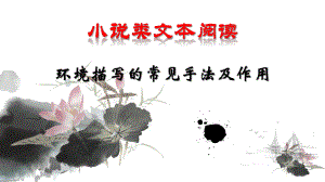 小说环境描写的常见手法及作用.ppt