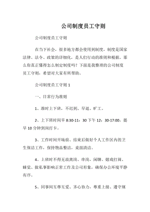 公司制度员工守则.docx