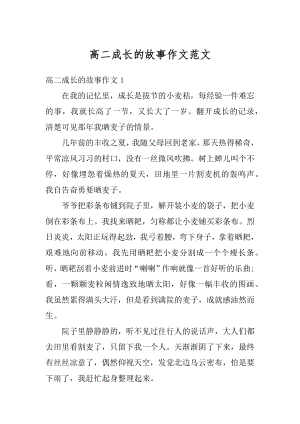 高二成长的故事作文范文范例.docx