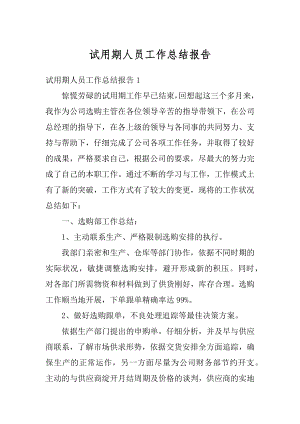 试用期人员工作总结报告范本.docx