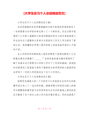 [大学生实习个人总结精选范文].doc