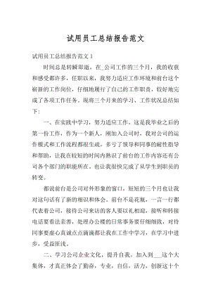 试用员工总结报告范文优质.docx