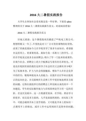 2016大二暑假实践报告.docx