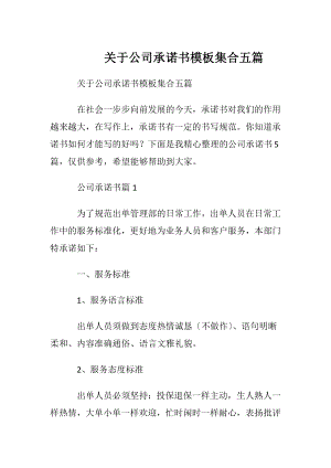 关于公司承诺书模板集合五篇.docx