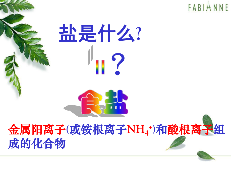 生活中常见的盐精品课件（41页）.ppt_第2页