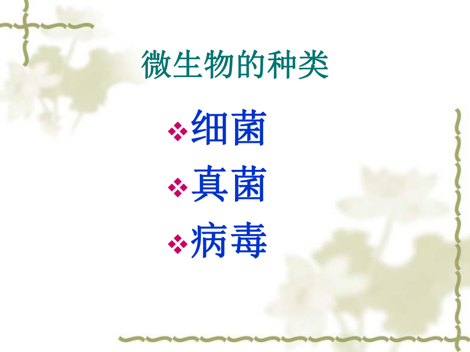 第二节_细菌_2.ppt_第1页