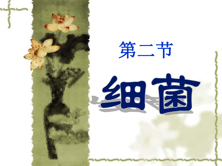 第二节_细菌_2.ppt_第2页